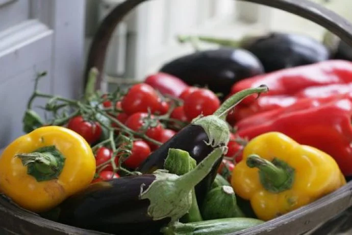 A delicious looking basket full of fresh Italian vegetables