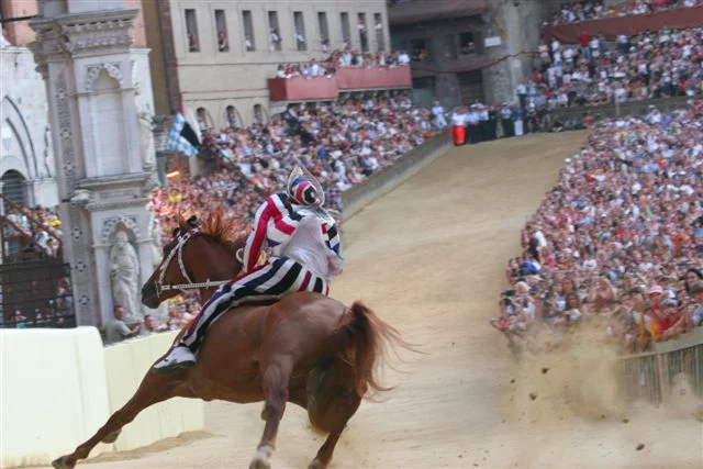 Palio Horse Race Siena Italy July