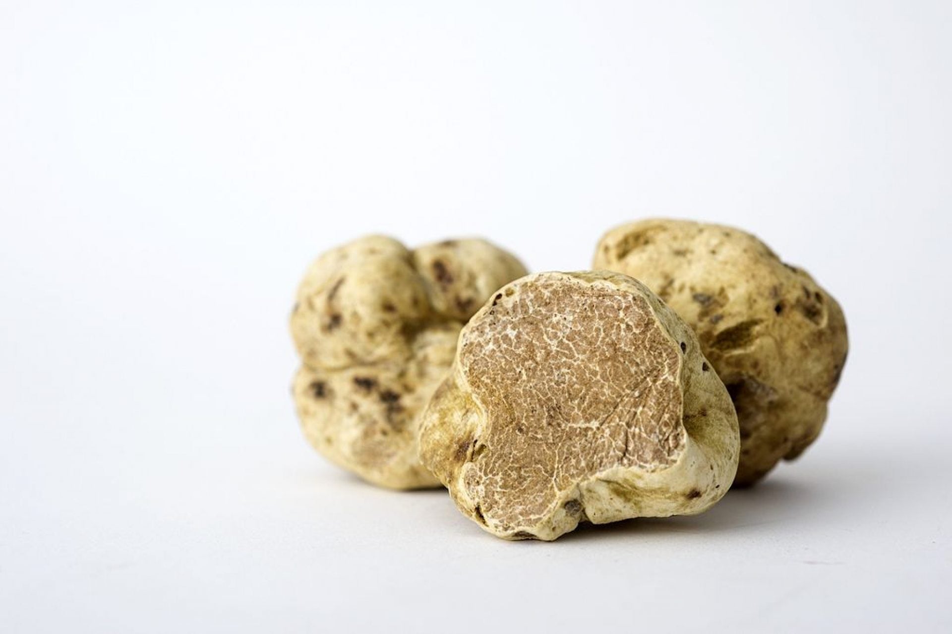 White-truffle-pic-1920x1278.jpg