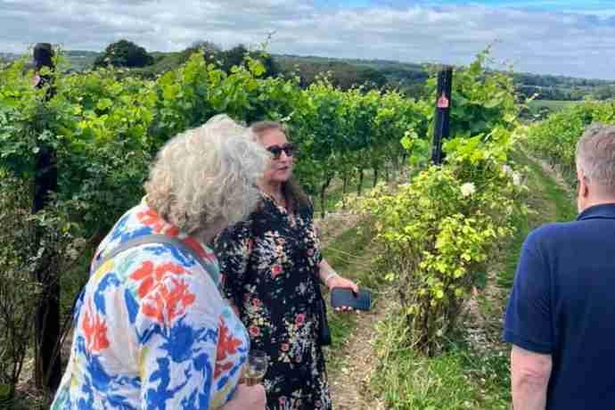 busi-jacobson-vineyard tour