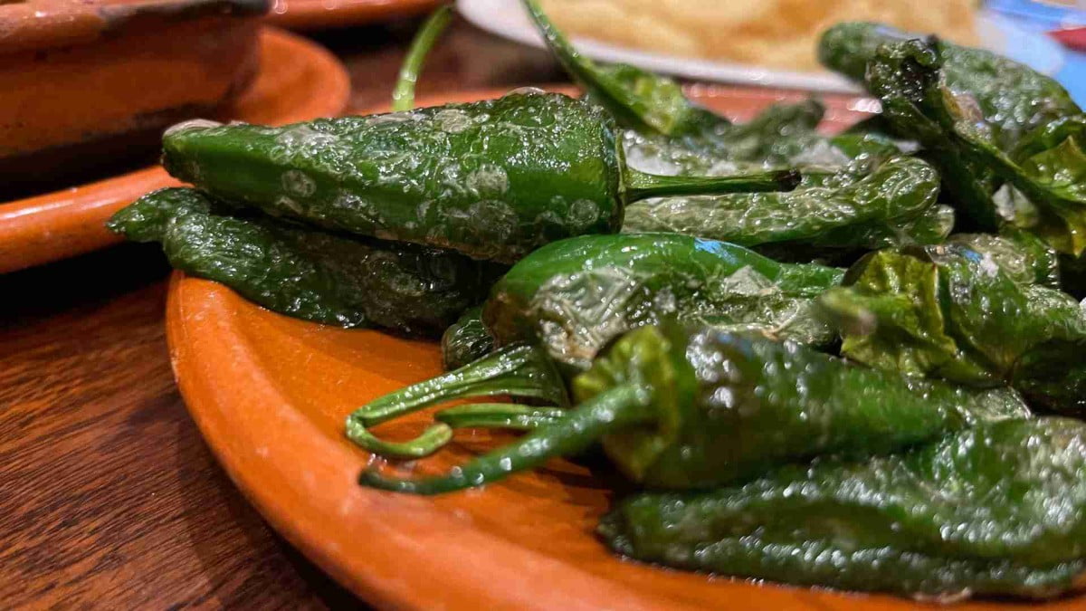 Pimientos de padrón - 11 of our favourite tapas