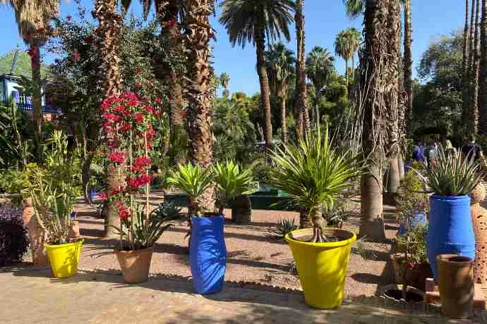 Marrakech-Pilates-Majorelle Gardens